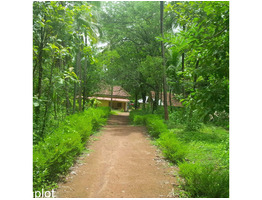 Residential land with kerala house