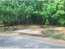 21.50 Residential Land for Sale at Kavalangad, Mangattupadi,ernakulam