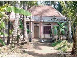 40 cent land and old house for sale at: Kavalam Alleppey
