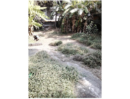 9.72 cents of garden land sale near Mankave