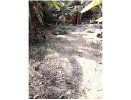 9.72 cents of garden land sale near Mankave