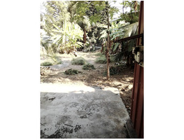 9.72 cents of garden land sale near Mankave