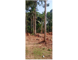 16.5 Cents  675 sqft old house and 9.75 cents Residential land for sale in  chavara south  kollam