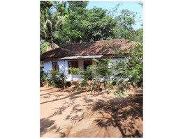 16.5 Cents  675 sqft old house and 9.75 cents Residential land for sale in  chavara south  kollam