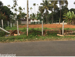 18 cent land for sale at wayanad