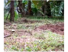 13 cents Residential land for sale near kayalodu bus stop road ( Kannur_ kuthuparamba highway)