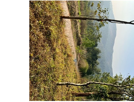 12.5 CENTS OF LAND. NEAR MUNNAR.BEST FOR A HOLIDAY COTTAGE OR HOUSE- 2 LAKHS/ CENT