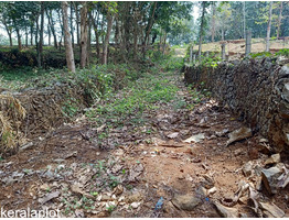 39.75 cents land for sale at thoduppuzha idukki