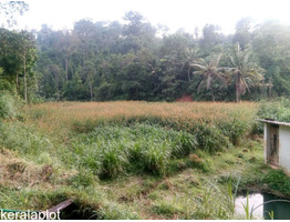 4 Acre land sale at  Murickassery, Idukki.