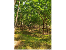 3 acres, 2 acre rubber, pullayil, kilimanoor thiruvanathapuram