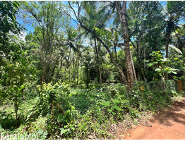 18 cent land for sale kottappuram, Malappuram.