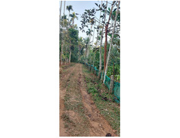 93 cent square plot sale  Wayanad