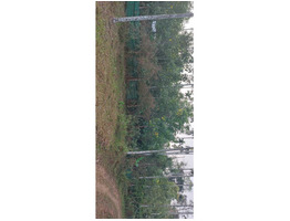 93 cent square plot sale  Wayanad