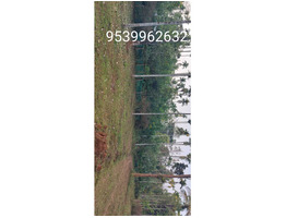 93 cent square plot sale  Wayanad