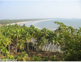 Property Near Muzhappilangad Drive in Beach, Kannur District