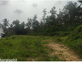 15 cent land for sale at parakkal,wayanad.