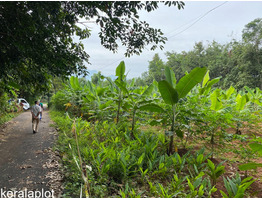 90 cent  land sale at Paraipadi Junction, Malappuram.