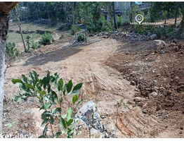 1.49 acres plot for sale at  Chelakode Village, Kondazhy Panchayath , Pazhayannur  Thrissur