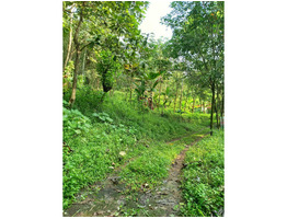 40 cent plot for sale at ranni athikkayam pathanamthitta