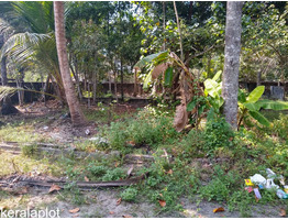 13.5 CENTS OF LAND FOR SALE AT CHERTHALA, ALAPPUZHA.
