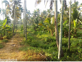 1 ACRE 16 CENTS OF LAND FOR SALE AT KUNDUR, THRISSUR.