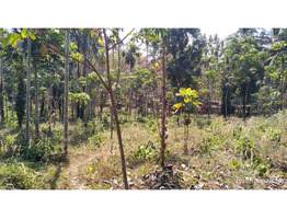 3 ACRES OF LAND FOR SALE AT KOOMANKULAM, MANJERY, MALAPPURAM.