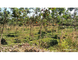 3 ACRES OF LAND FOR SALE AT KOOMANKULAM, MANJERY, MALAPPURAM.