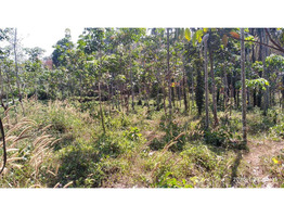 3 ACRES OF LAND FOR SALE AT KOOMANKULAM, MANJERY, MALAPPURAM.