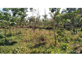 3 ACRES OF LAND FOR SALE AT KOOMANKULAM, MANJERY, MALAPPURAM.