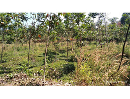 3 ACRES OF LAND FOR SALE AT KOOMANKULAM, MANJERY, MALAPPURAM.