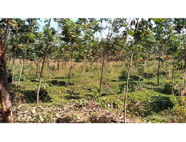 3 ACRES OF LAND FOR SALE AT KOOMANKULAM, MANJERY, MALAPPURAM.