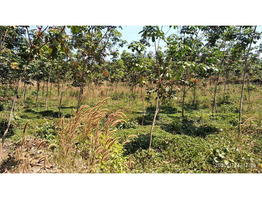 3 ACRES OF LAND FOR SALE AT KOOMANKULAM, MANJERY, MALAPPURAM.