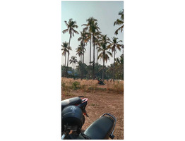 Plot For Sale in Chiyyaram