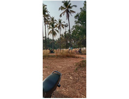 Plot For Sale in Chiyyaram