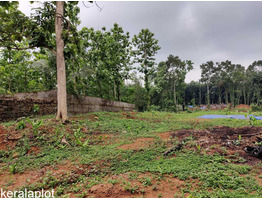 45 cent land for sale at kottayam