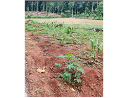 45 cent land for sale at kottayam