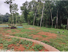 45 cent land for sale at kottayam