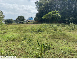 40 Cent Residential Land for Sale in Thodupuzha
