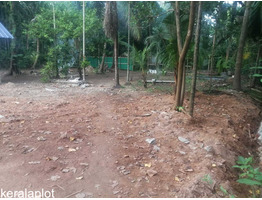 25 cents residential plot for sale at Varapuzha,Ernakulam