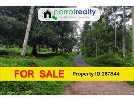 40 cent land for sale near Kenichira, Wayanad