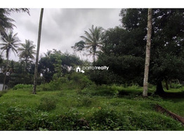 40 cent land for sale near Kenichira, Wayanad