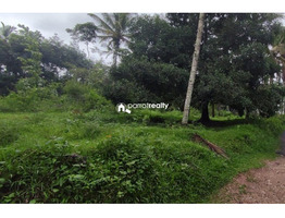 40 cent land for sale near Kenichira, Wayanad