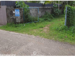 Residential Land for Sale in Adinad, Karunagapally, Kollam