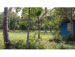 Residential Land for Sale in Adinad, Karunagapally, Kollam