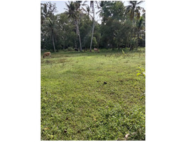 Residential Land for Sale in Adinad, Karunagapally, Kollam