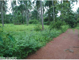 30 cent to 1.5 acre land plots for sale at Thekkan Kuttur (only 7 kms from Tirur)