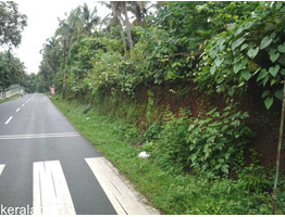 30 cent to 1.5 acre land plots for sale at Thekkan Kuttur (only 7 kms from Tirur)