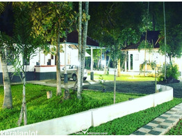 53 cent land  for sale at  Kuttanad  Alleppey