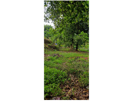 1 acre 80 cent 1890 sqft for sale at kochupurakkal panniyeli eranakulam
