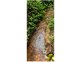 1 acre 80 cent 1890 sqft for sale at kochupurakkal panniyeli eranakulam